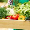 Comment le maraîchage local contribue à la fraîcheur de nos assiettes ?