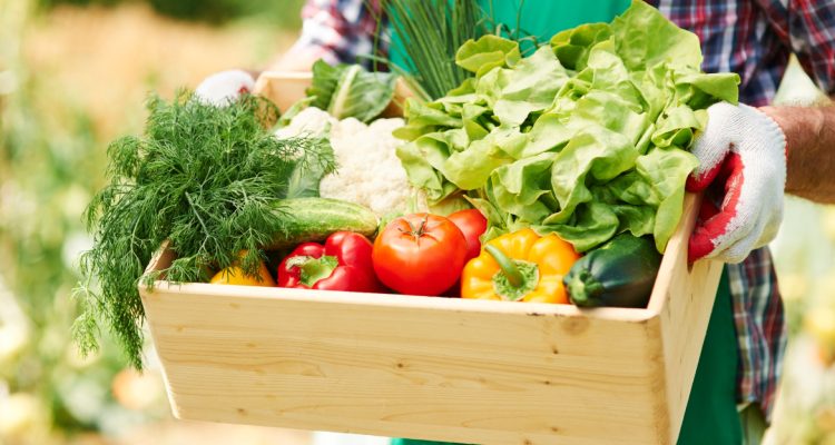Comment le maraîchage local contribue à la fraîcheur de nos assiettes ?
