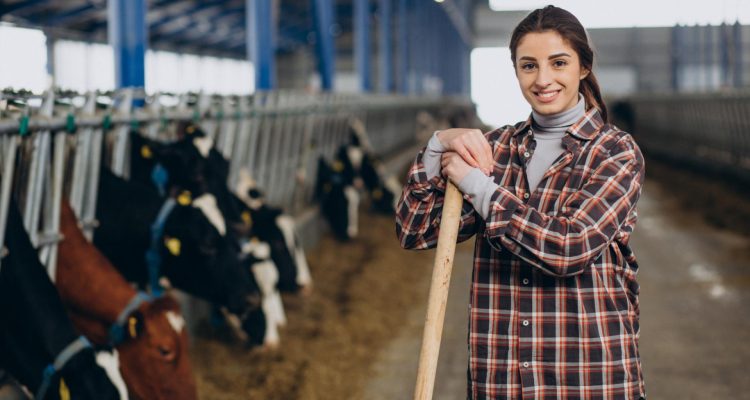 De la ferme à l’assiette : comment devient-on productrice fromagère ?
