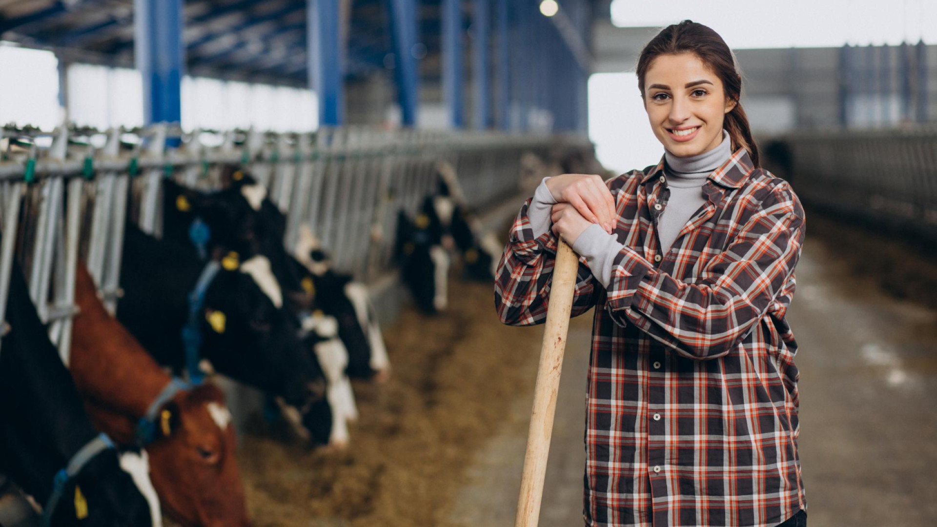 De la ferme à l’assiette : comment devient-on productrice fromagère ?